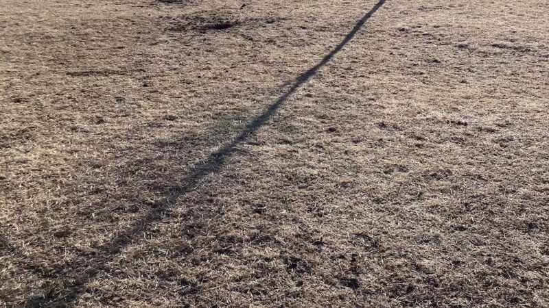 Lynch Dog Park - Rogers, MN