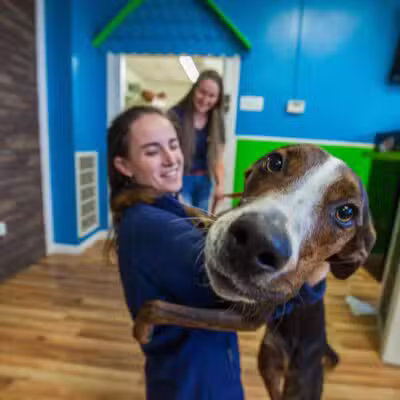 Hounds Town Ronkonkoma - Ronkonkoma, NY