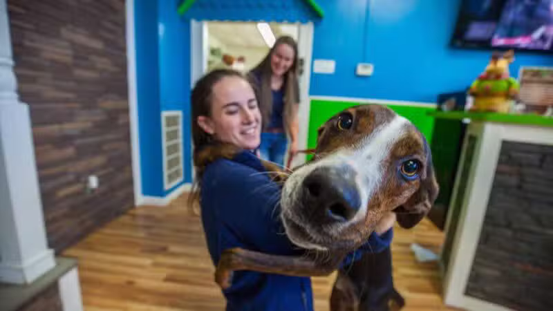 Hounds Town Ronkonkoma - Ronkonkoma, NY