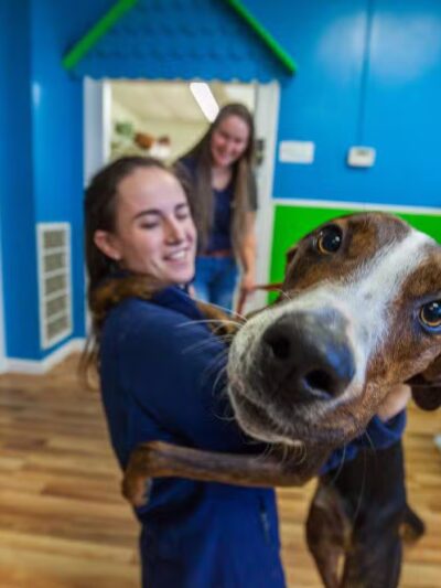 Hounds Town Ronkonkoma - Ronkonkoma, NY