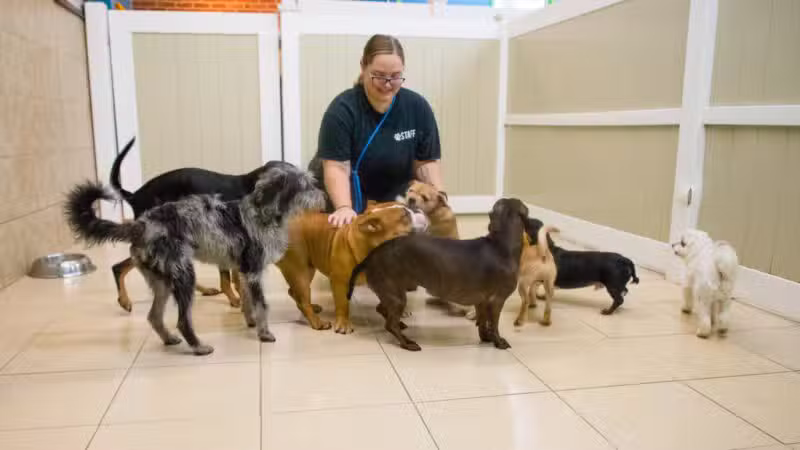 Hounds Town Ronkonkoma - Ronkonkoma, NY