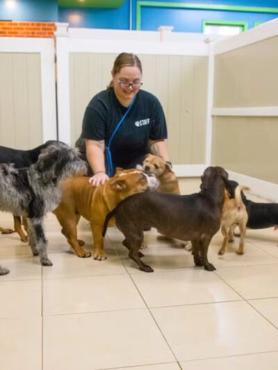 Hounds Town Ronkonkoma - Ronkonkoma, NY