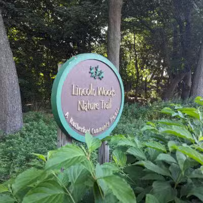 Lincoln Woods - Rutherford, NJ