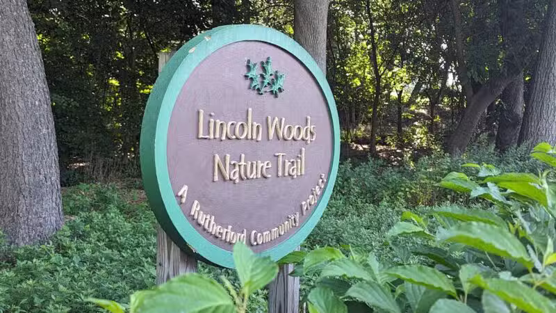 Lincoln Woods - Rutherford, NJ