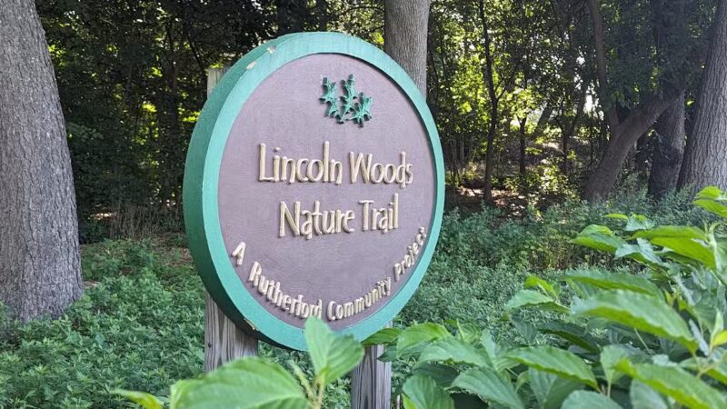 Lincoln Woods - Rutherford, NJ