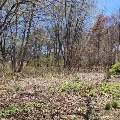 Lincoln Woods - Rutherford, NJ