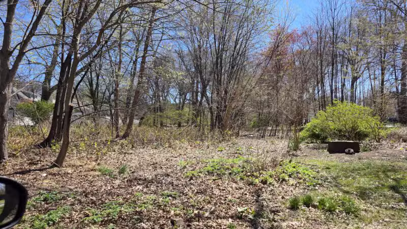 Lincoln Woods - Rutherford, NJ