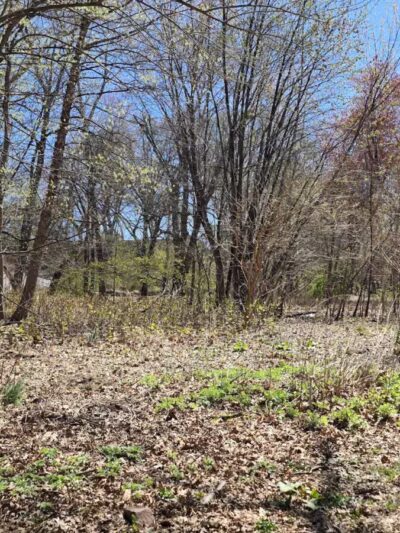 Lincoln Woods - Rutherford, NJ