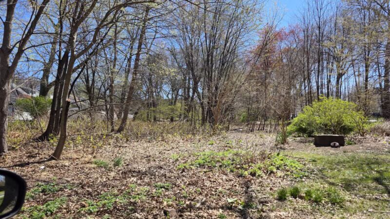 Lincoln Woods - Rutherford, NJ