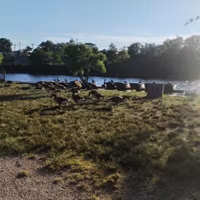 Rutherford Waterfront Park - Rutherford, NJ