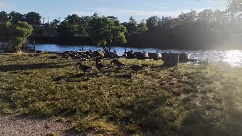 Rutherford Waterfront Park - Rutherford, NJ