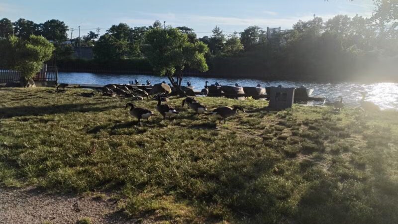 Rutherford Waterfront Park - Rutherford, NJ