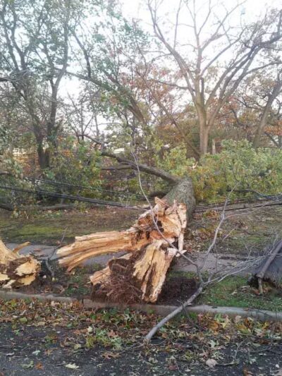 Sunset Park - Rutherford, NJ