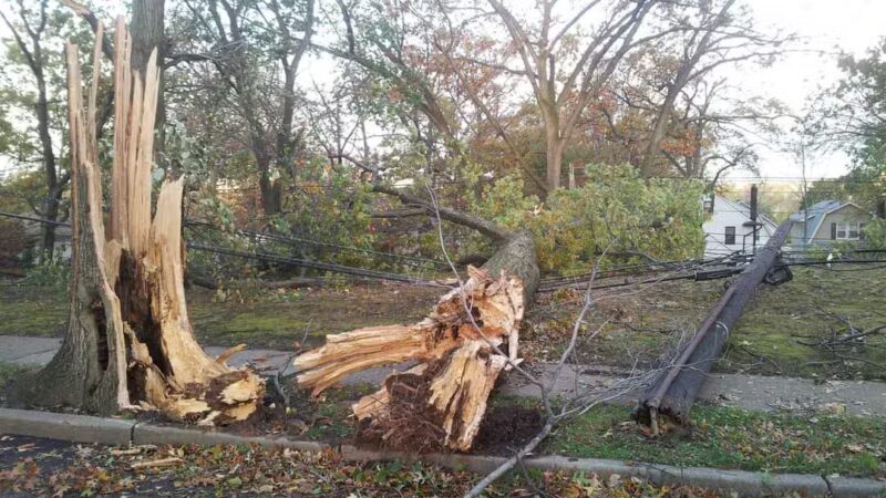 Sunset Park - Rutherford, NJ