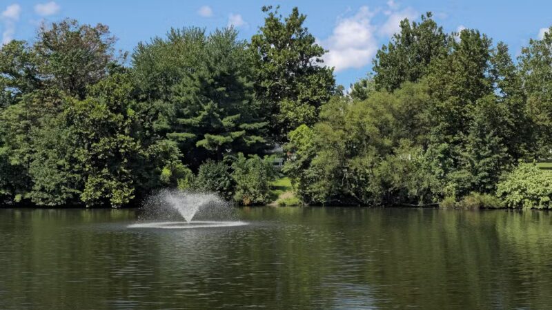 Saddle River County Park - Saddle Brook, NJ