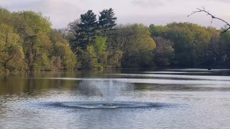 Saddle River County Park - Otto C. Pehle Area - Saddle Brook, NJ