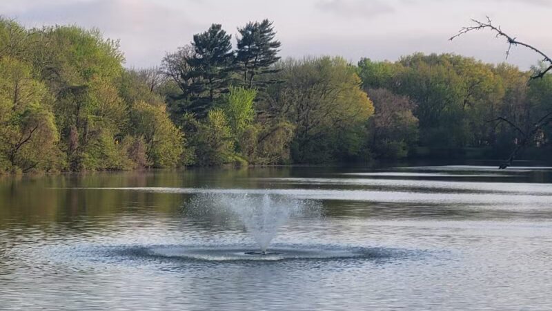 Saddle River County Park - Otto C. Pehle Area - Saddle Brook, NJ