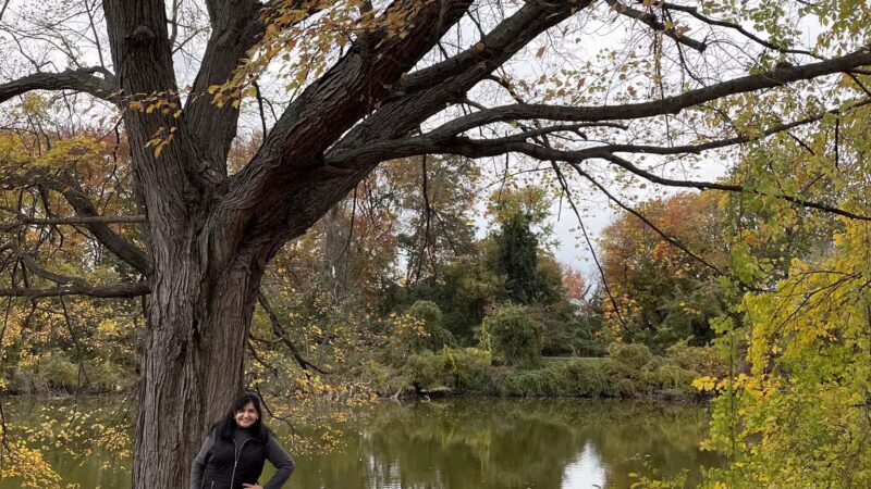 Saddle River County Park - Otto C. Pehle Area - Saddle Brook, NJ