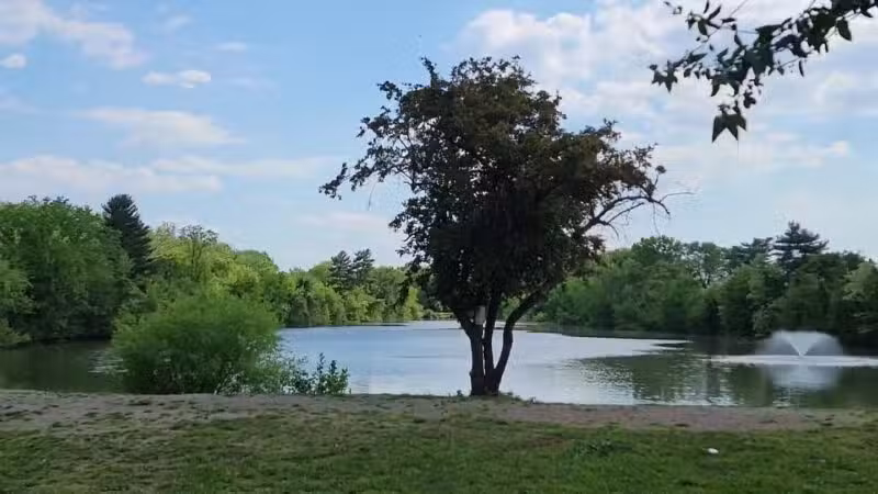 Saddle River County Park - Otto C. Pehle Area - Saddle Brook, NJ