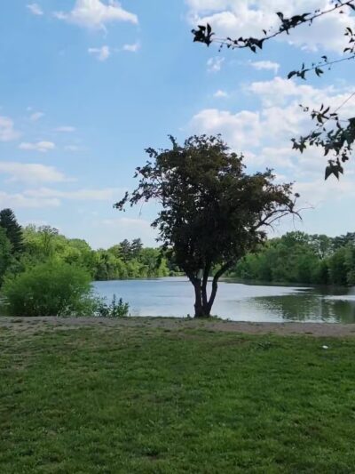 Saddle River County Park - Otto C. Pehle Area - Saddle Brook, NJ