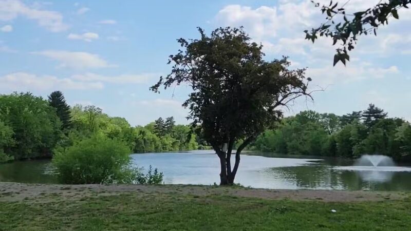 Saddle River County Park - Otto C. Pehle Area - Saddle Brook, NJ