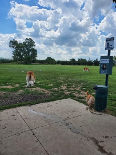 Barkley Park - Salina, KS