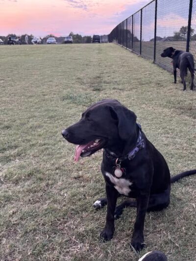 Barkley Park - Salina, KS