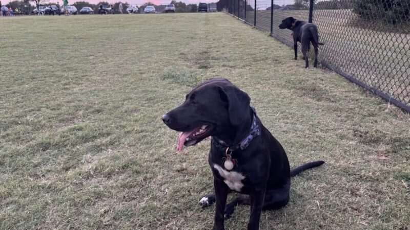 Barkley Park - Salina, KS