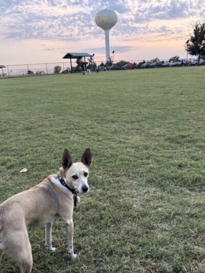 Barkley Park - Salina, KS