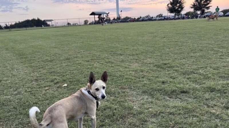 Barkley Park - Salina, KS