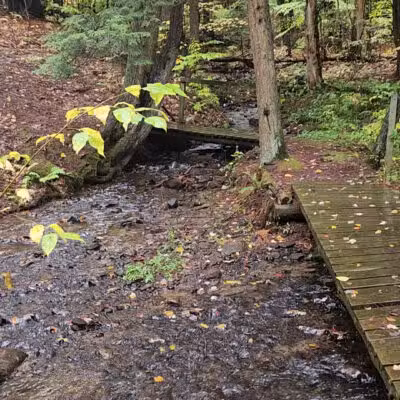 Mannsville Community Park - Sandy Creek, NY
