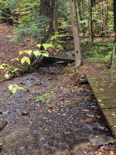 Mannsville Community Park - Sandy Creek, NY
