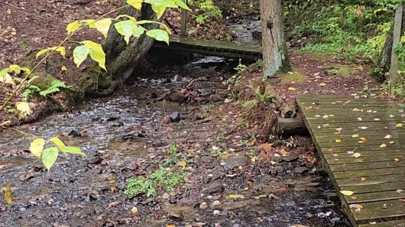 Mannsville Community Park - Sandy Creek, NY