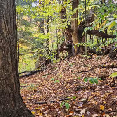 Mannsville Community Park - Sandy Creek, NY