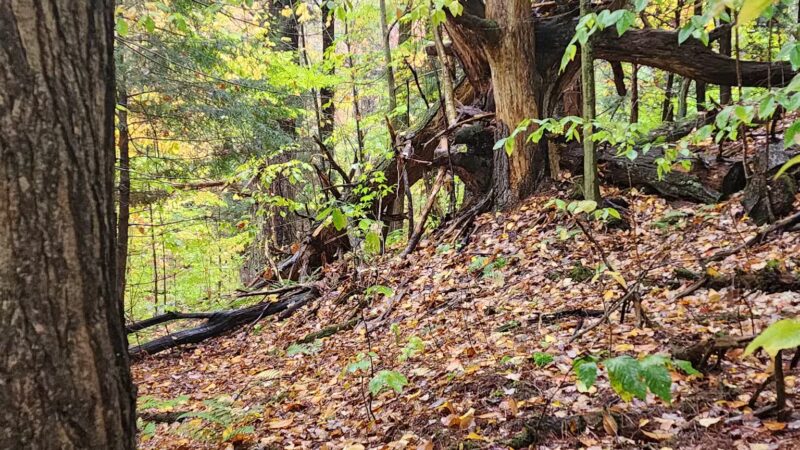 Mannsville Community Park - Sandy Creek, NY