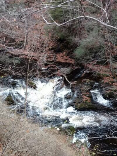 Rocky Glen State Park Scenic Reserve - Sandy Hook, CT