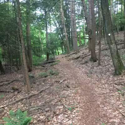 Rocky Glen State Park Scenic Reserve - Sandy Hook, CT