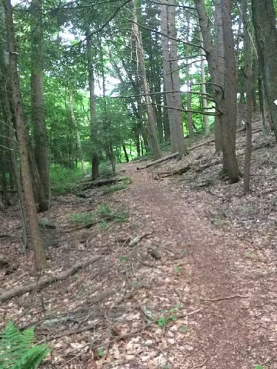 Rocky Glen State Park Scenic Reserve - Sandy Hook, CT