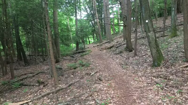 Rocky Glen State Park Scenic Reserve - Sandy Hook, CT