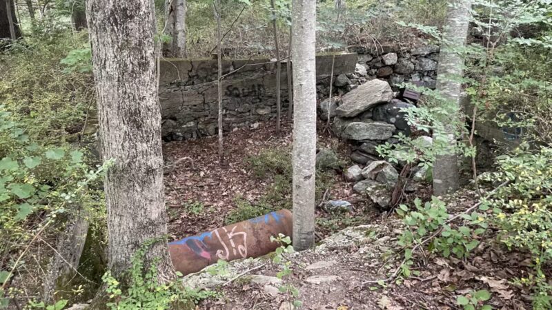 Rocky Glen State Park Scenic Reserve - Sandy Hook, CT