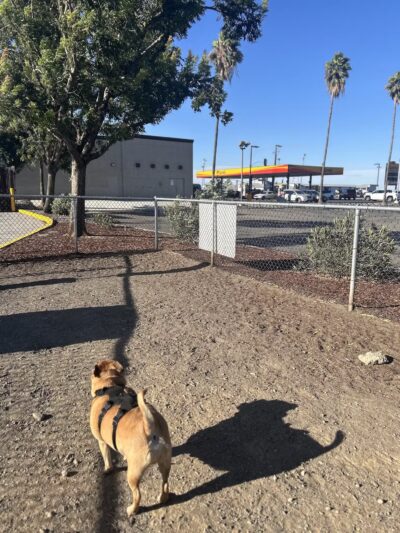 Dog Park at Love's Travel Stops - Santa Nella, CA