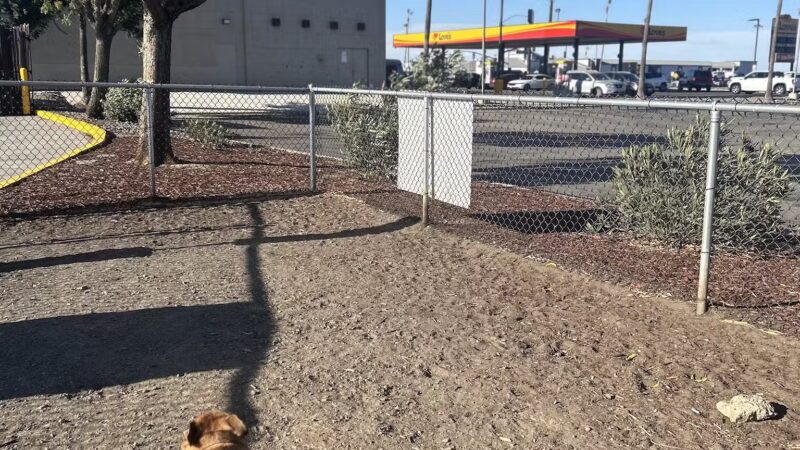 Dog Park at Love's Travel Stops - Santa Nella, CA