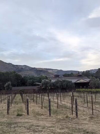 Happy Tails Dog Park - Santa Rosa, CA