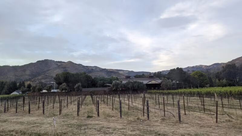 Happy Tails Dog Park - Santa Rosa, CA