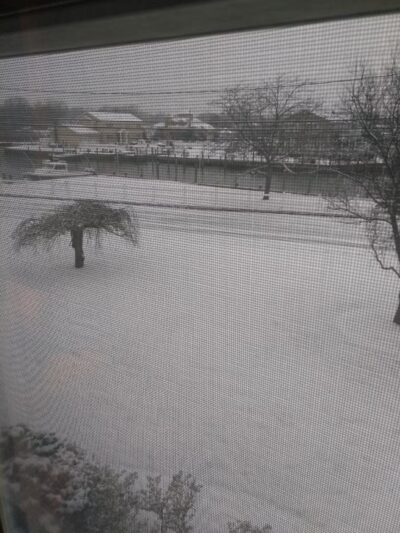 Green's Creek County Park - Sayville, NY