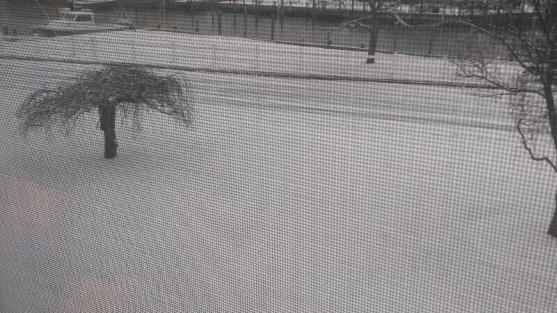 Green's Creek County Park - Sayville, NY