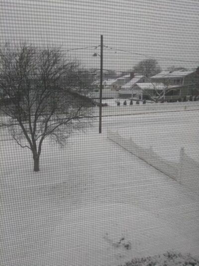 Green's Creek County Park - Sayville, NY