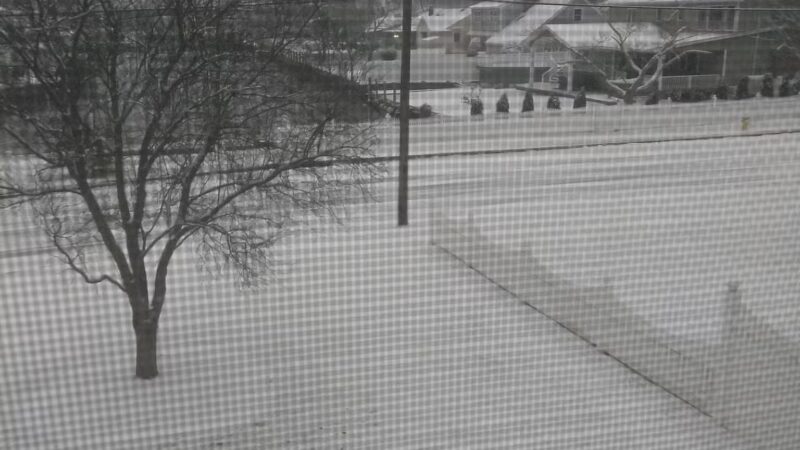 Green's Creek County Park - Sayville, NY