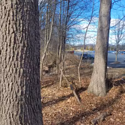 Ash Brook Reservation Hiking Trail - Scotch Plains, NJ