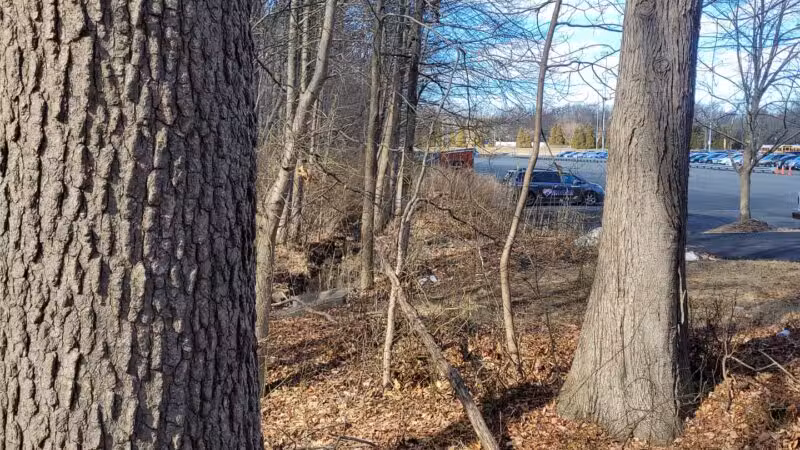 Ash Brook Reservation Hiking Trail - Scotch Plains, NJ